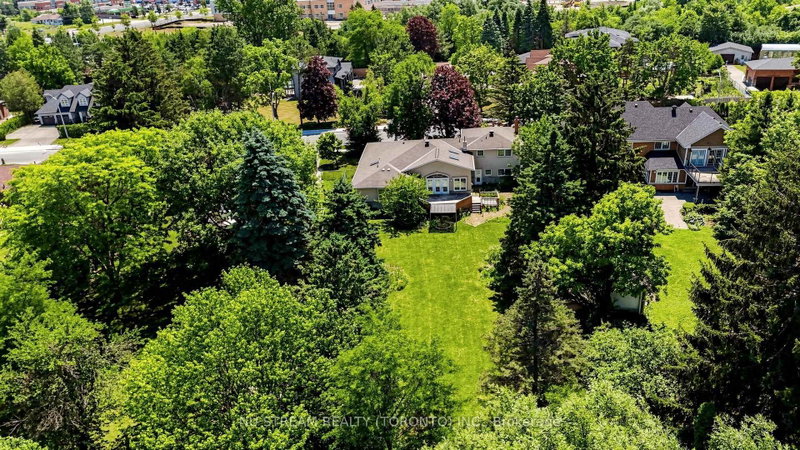 20 Blackforest Drive