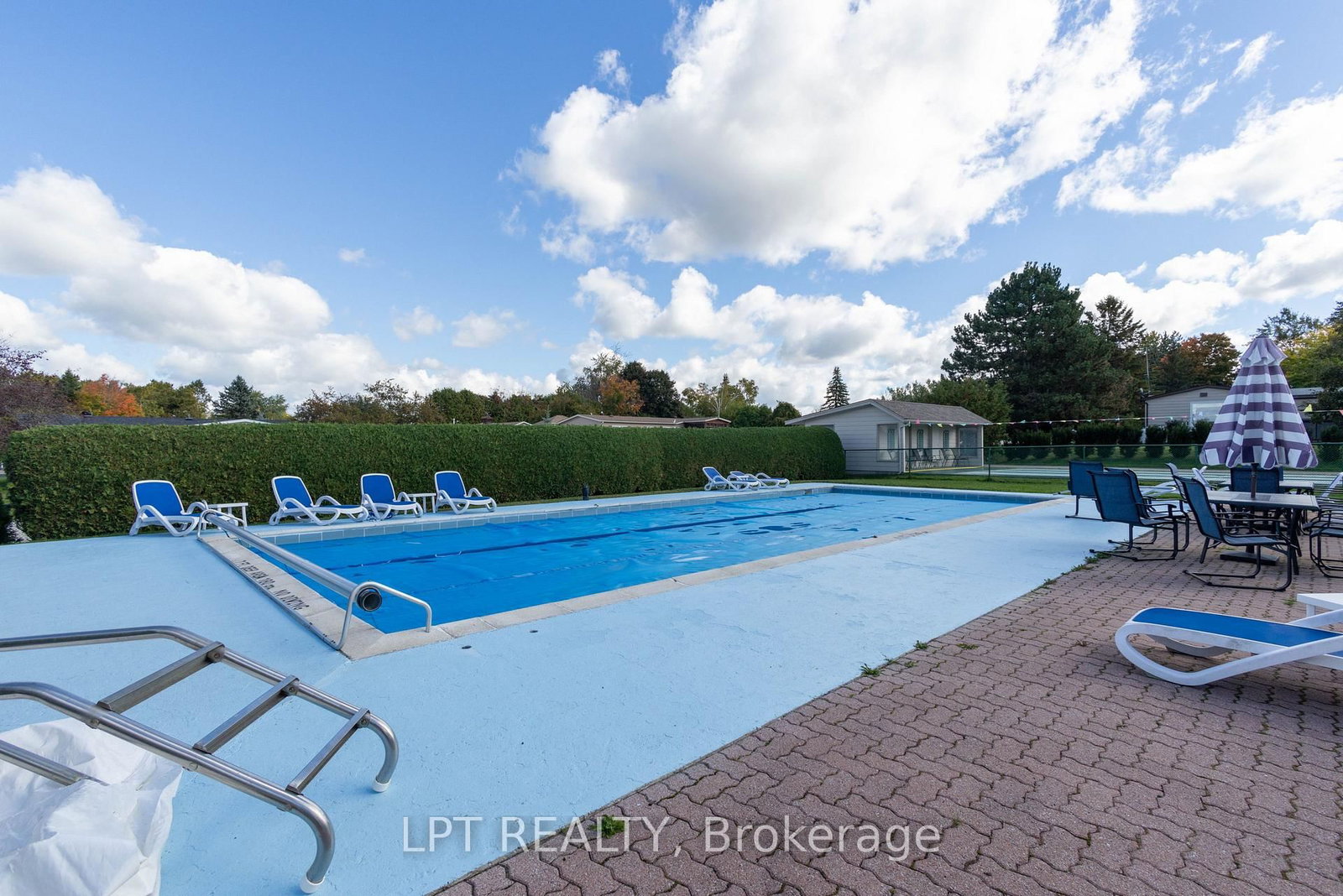 11 Geneva Court • Georgina, ON photo 27
