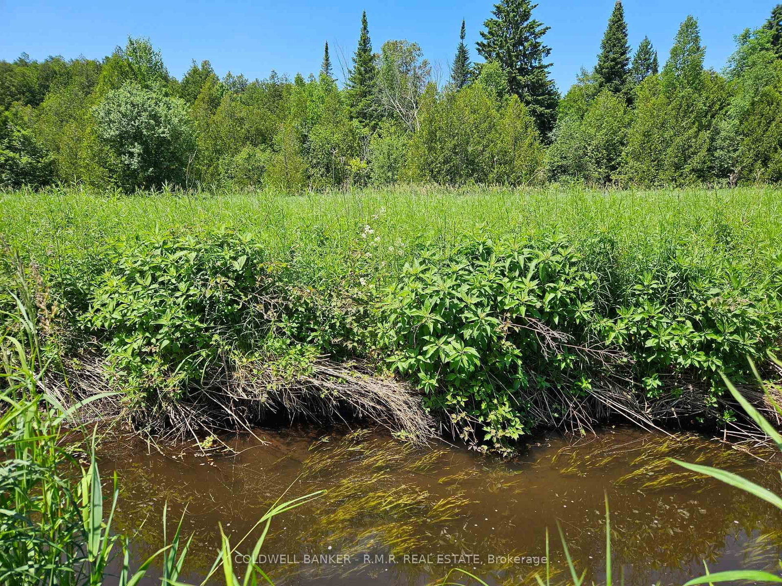 10400 and 10800 Concession 6 Road • Uxbridge, ON photo 40