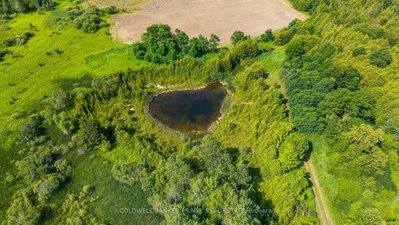 10400 and 10800 Concession 6 Road • Uxbridge, ON photo 4