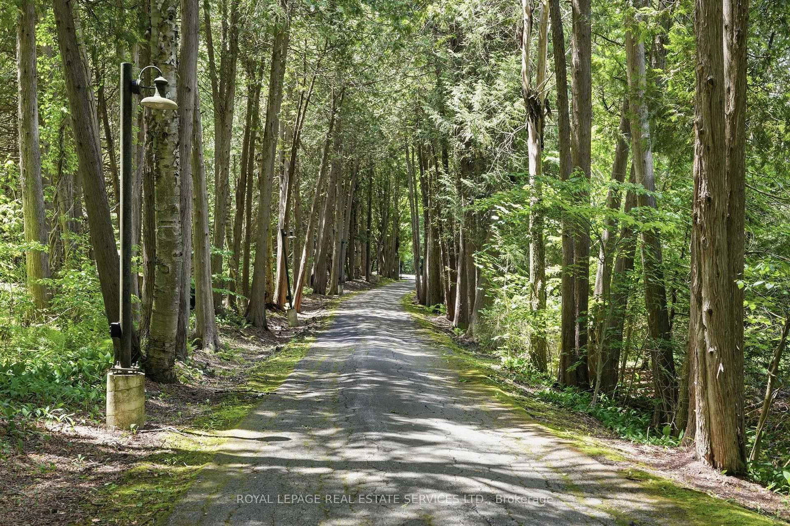 7779 Concession 2 • Uxbridge, ON photo 44