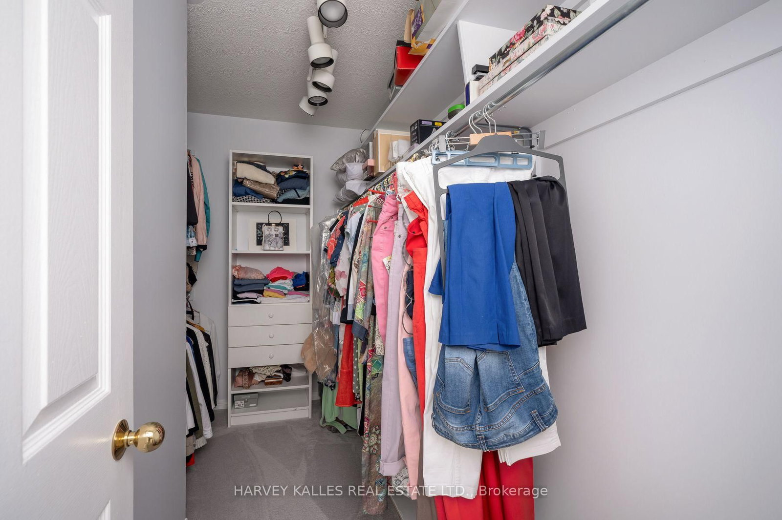 17 Peterborough Avenue • Markham, ON photo 29