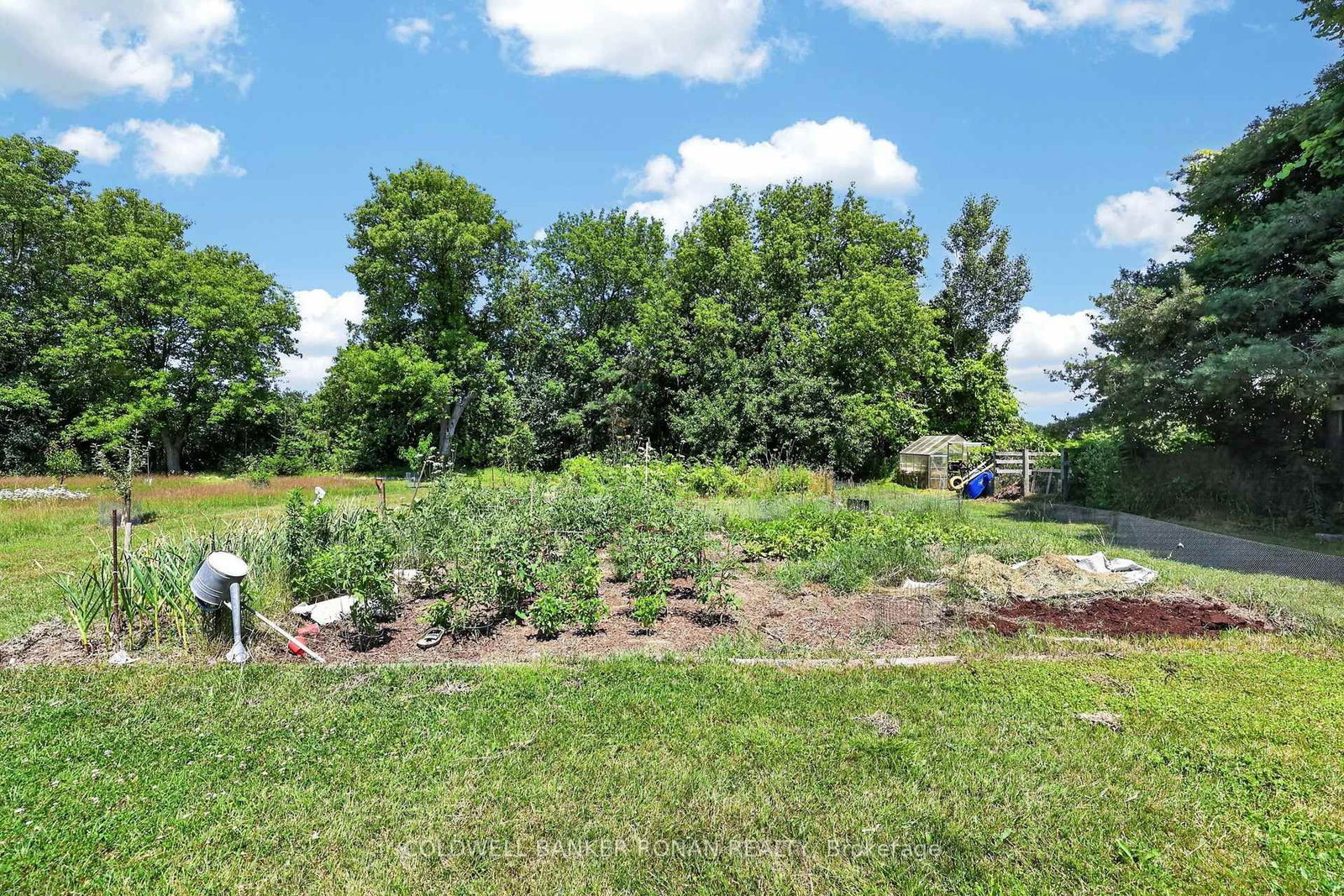 4087 Concession Rd 5 • Adjala-Tosorontio, ON photo 45