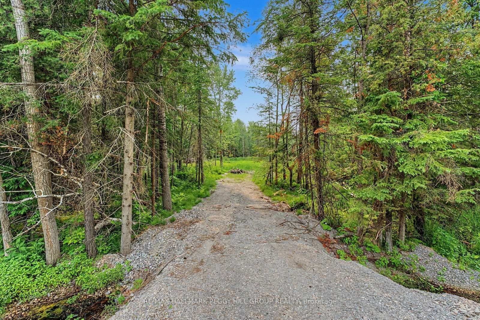 6905 County Road 21 • Essa, ON photo 2