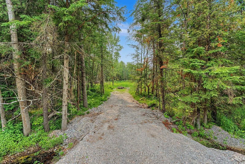 6905 County Road 21