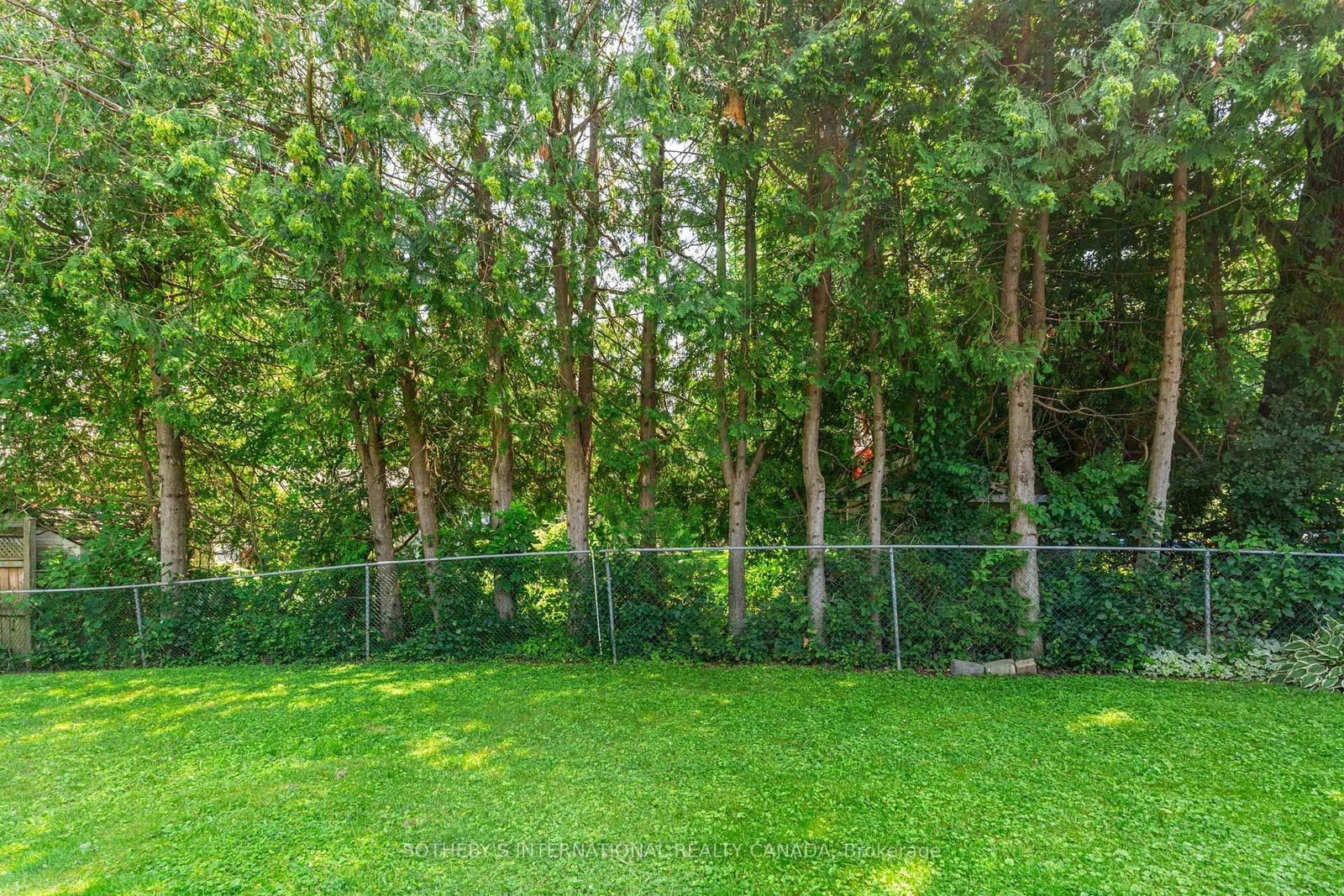 43 Northwood Road • Georgina, ON photo 42