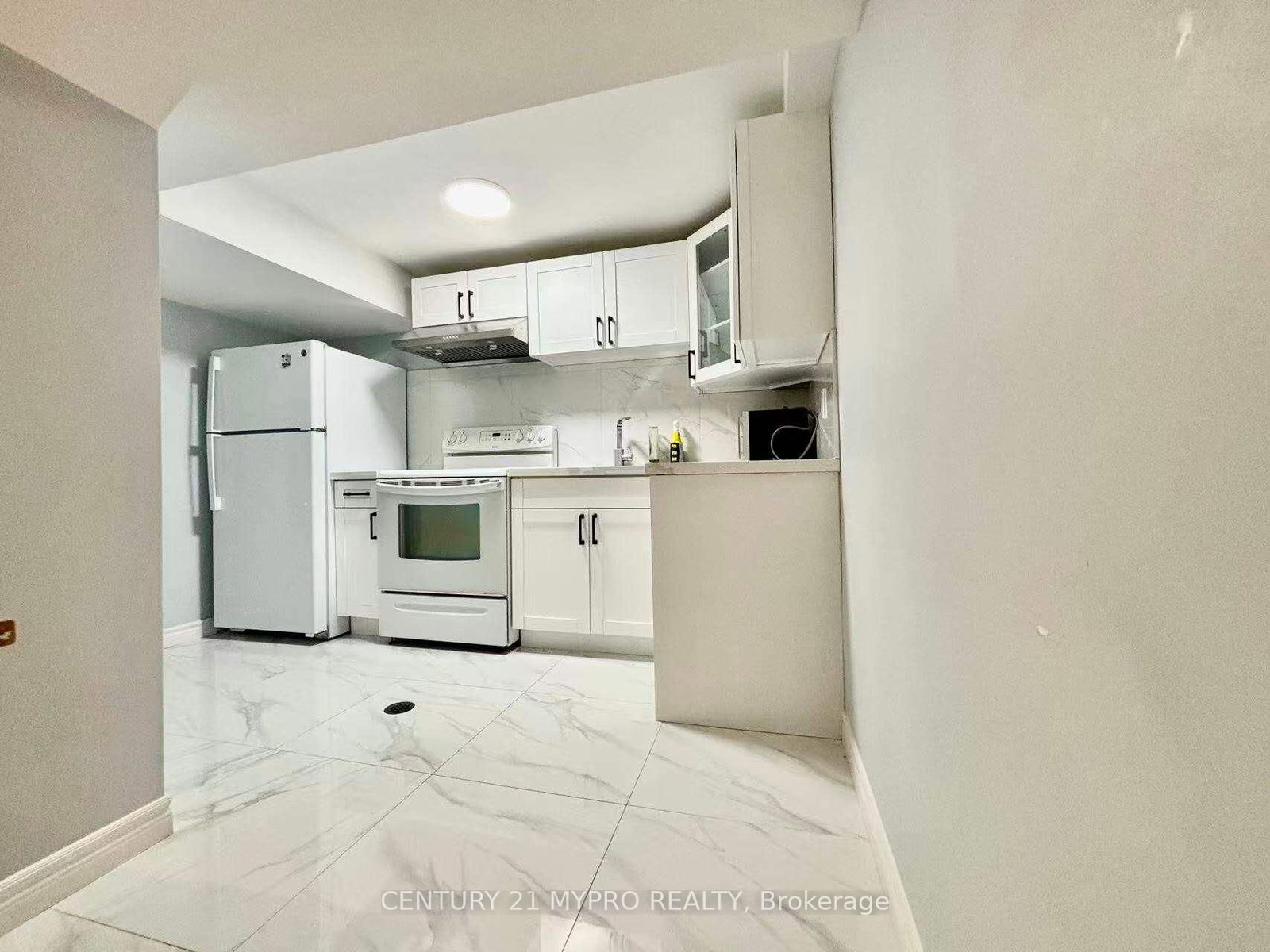 Basement - 56 Longwater Chase, Markham 3