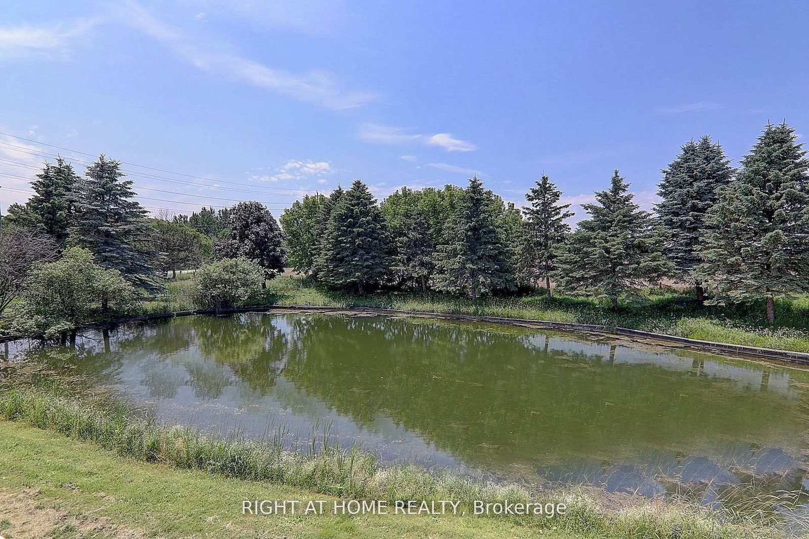 1008 Mount Albert Road • East Gwillimbury, ON photo 29