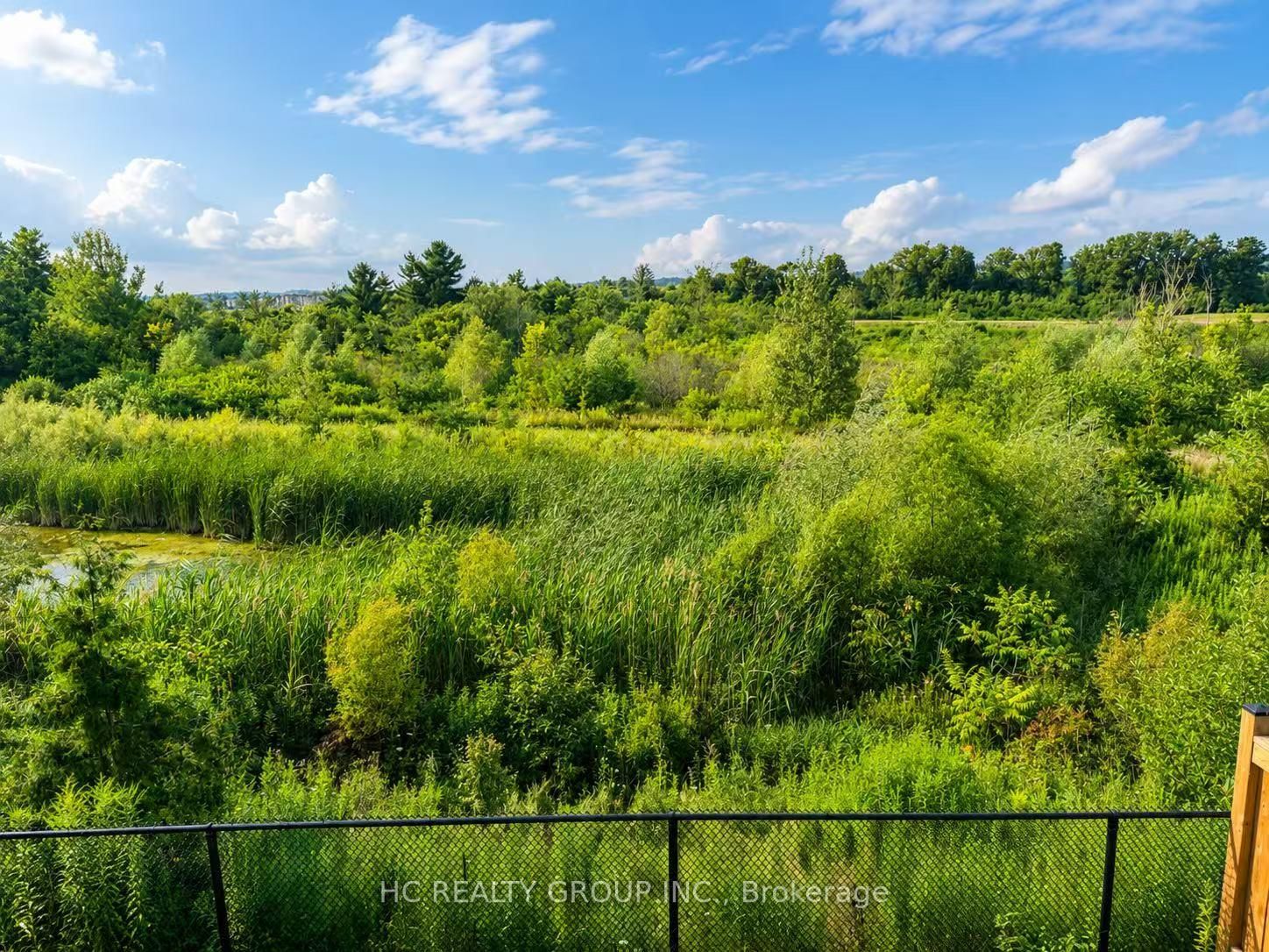 156 Hartney Drive • Richmond Hill, ON photo 41