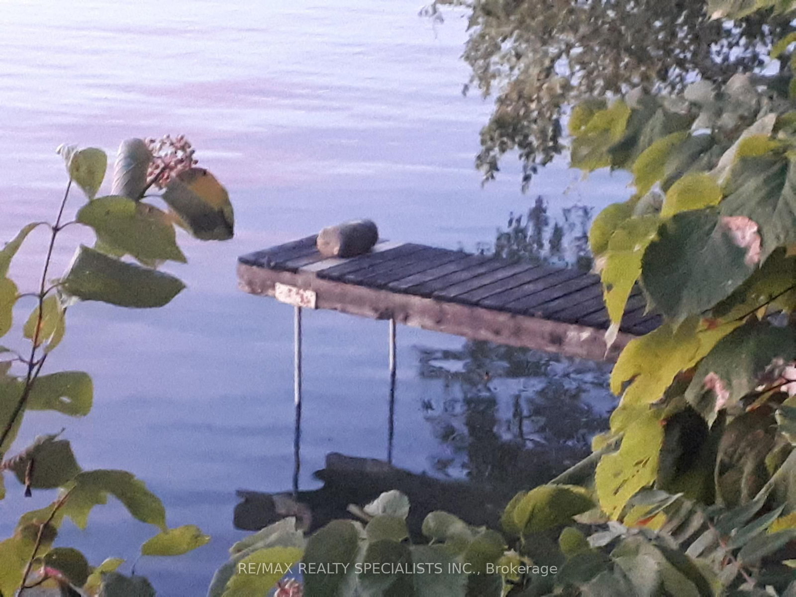 LOT 44 Snake Island • Georgina Islands, ON photo 39