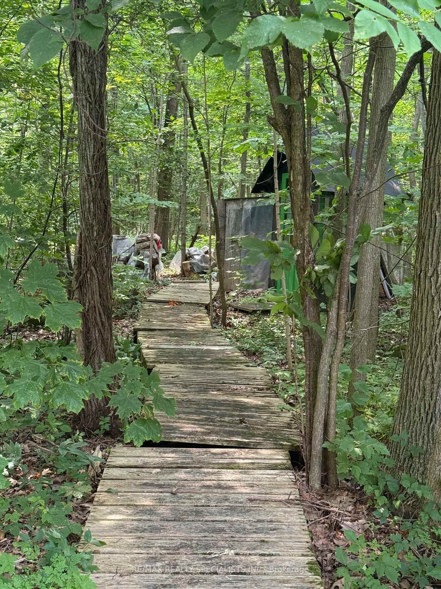 LOT 44 Snake Island • Georgina Islands, ON photo 44