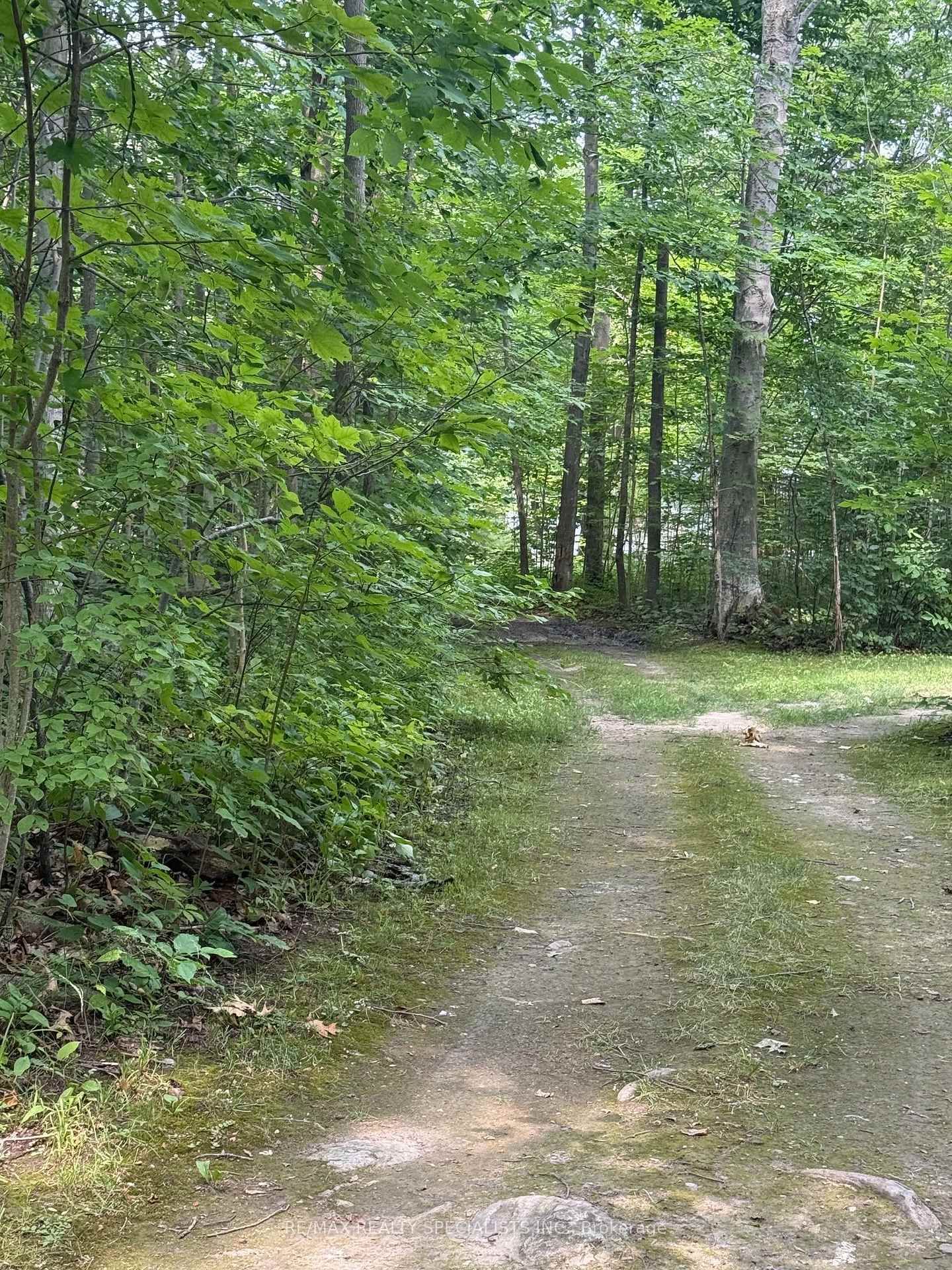 LOT 44 Snake Island • Georgina Islands, ON photo 46