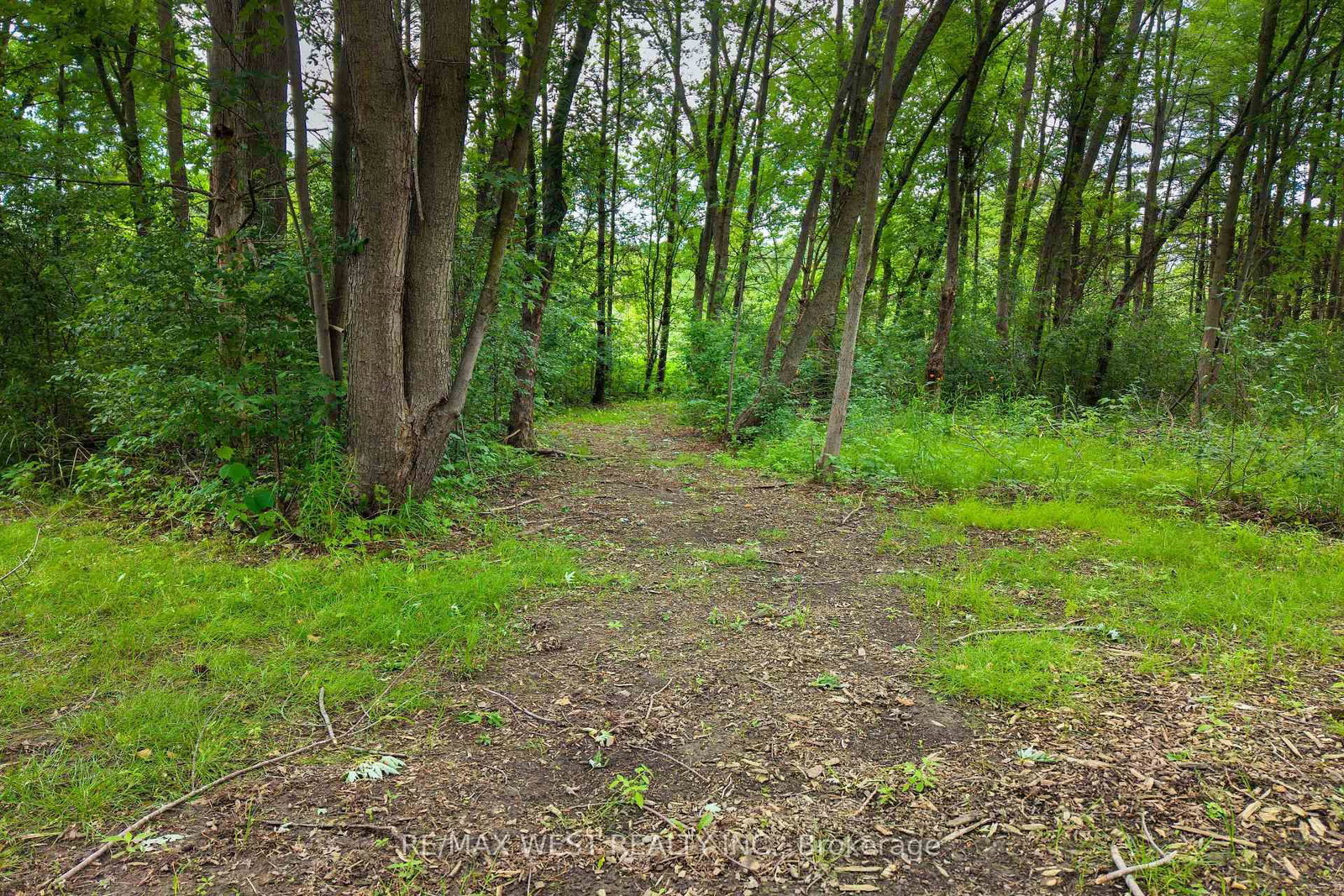7324 Highway 9 Road • New Tecumseth, ON photo 39