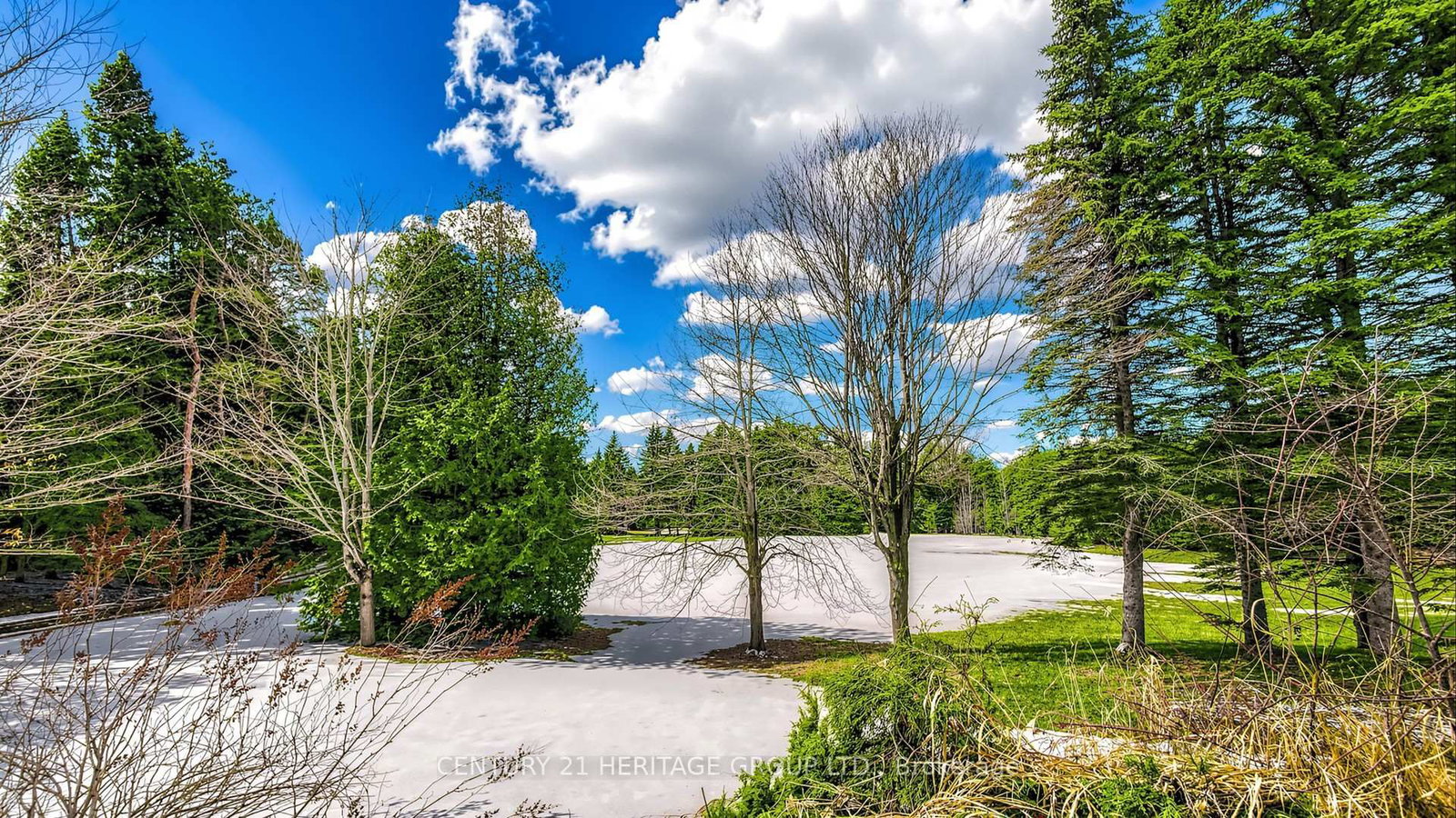 Rural East Gwillimbury, East Gwillimbury photo 42