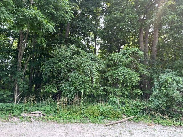 2728 25th Side Road