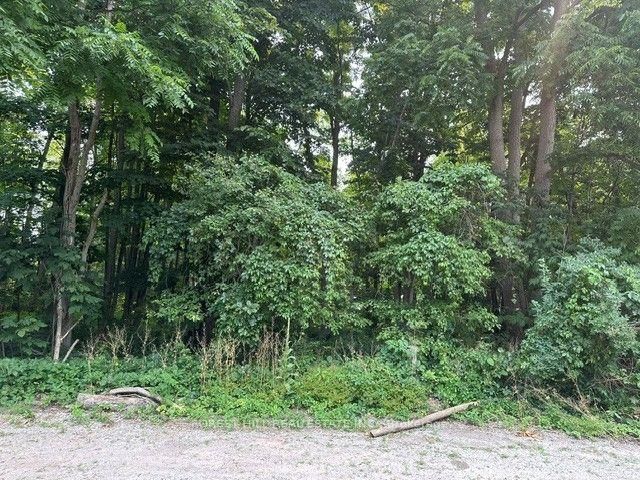 2728 25th Side Road