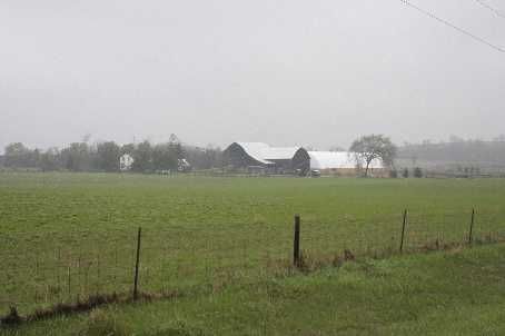 19175 Ninth Line, East Gwillimbury, L0G1M0 | Image 2