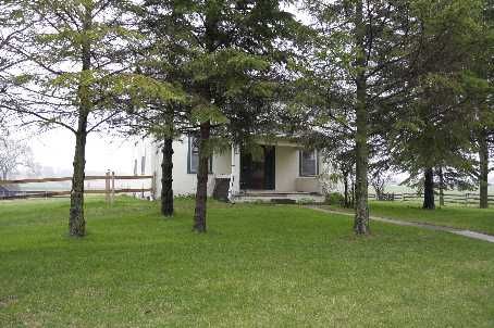 19175 Ninth Line, East Gwillimbury, L0G1M0 | Image 3