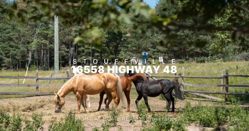 16558 Highway 48