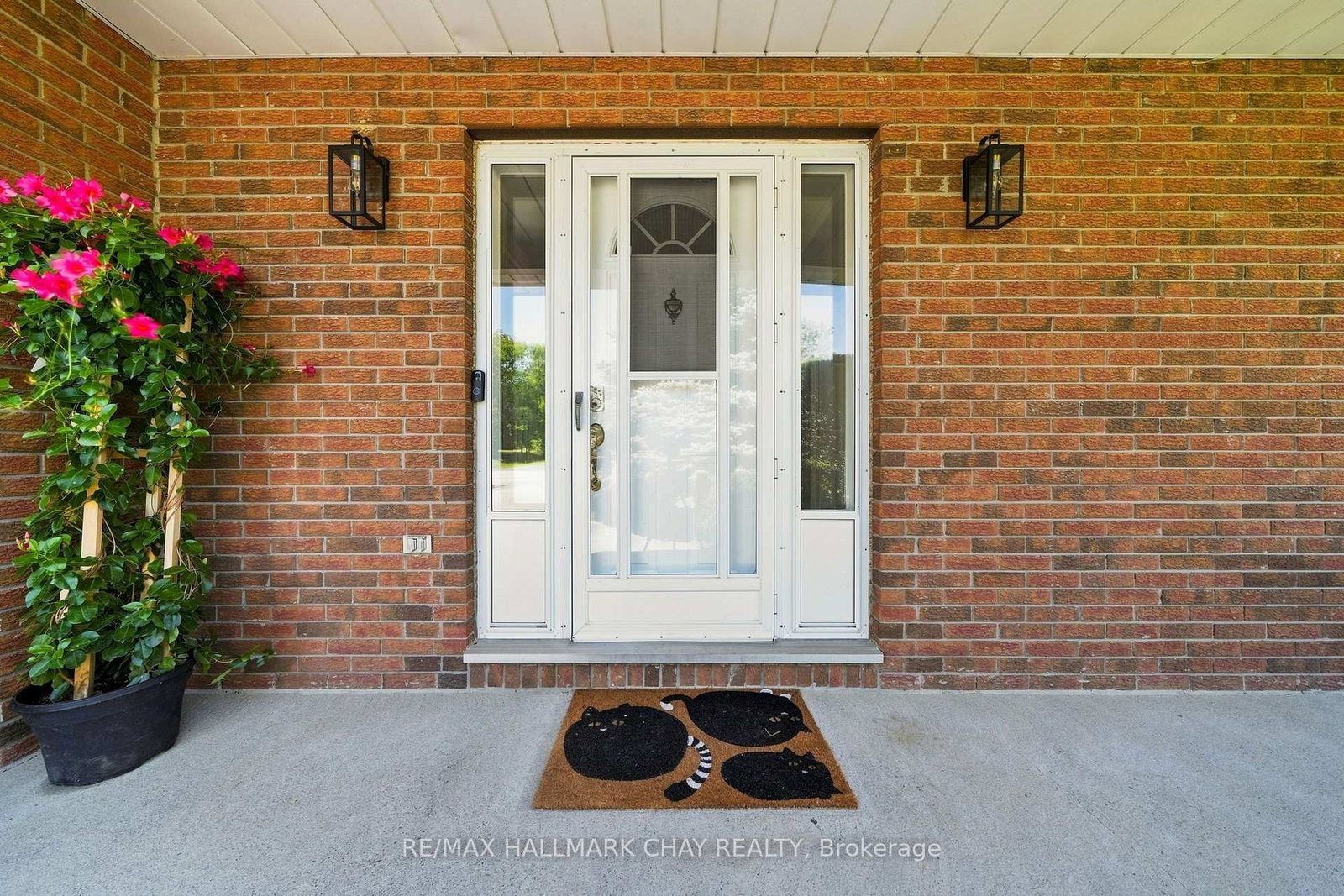 3 John Street • Adjala-Tosorontio, ON photo 8