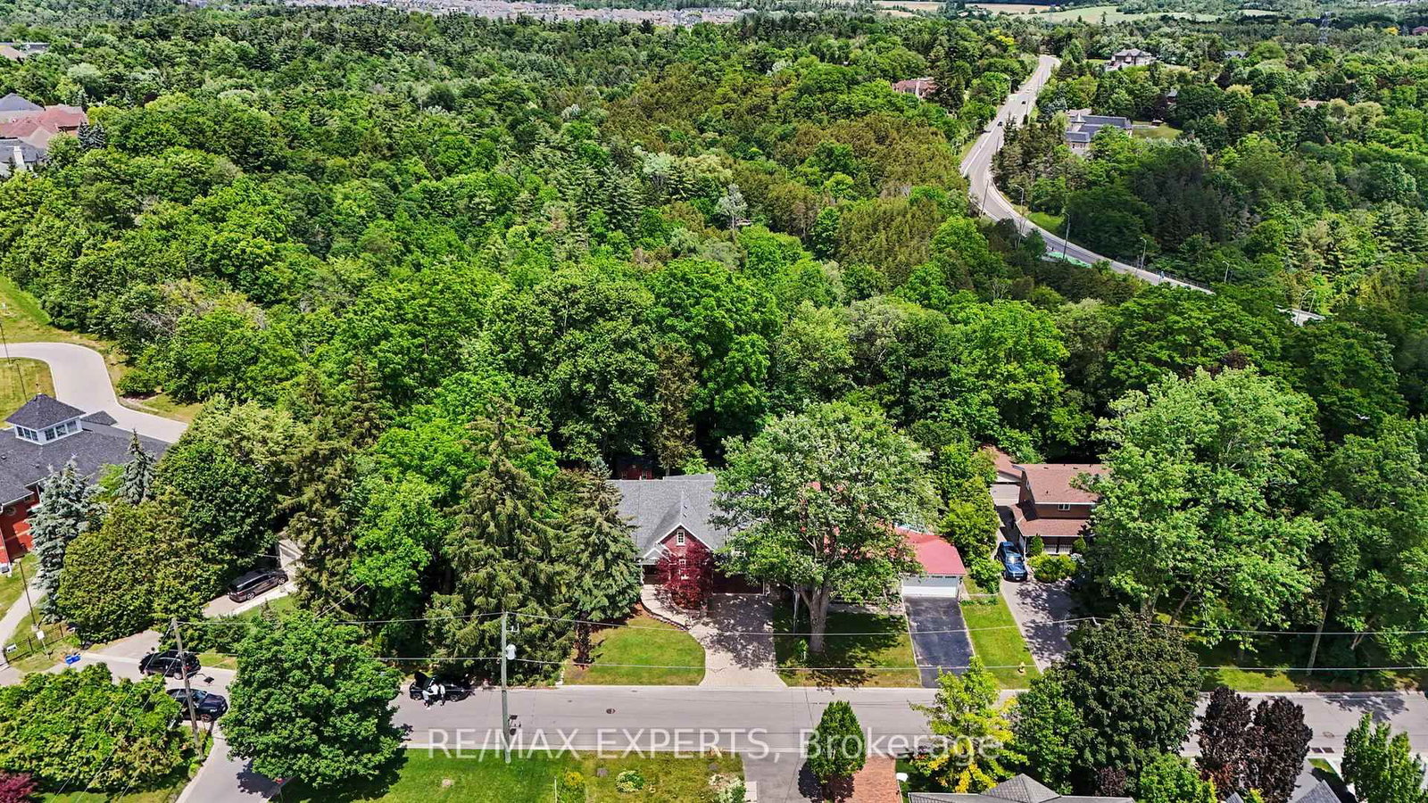 91 Napier Street • Vaughan, ON photo 46