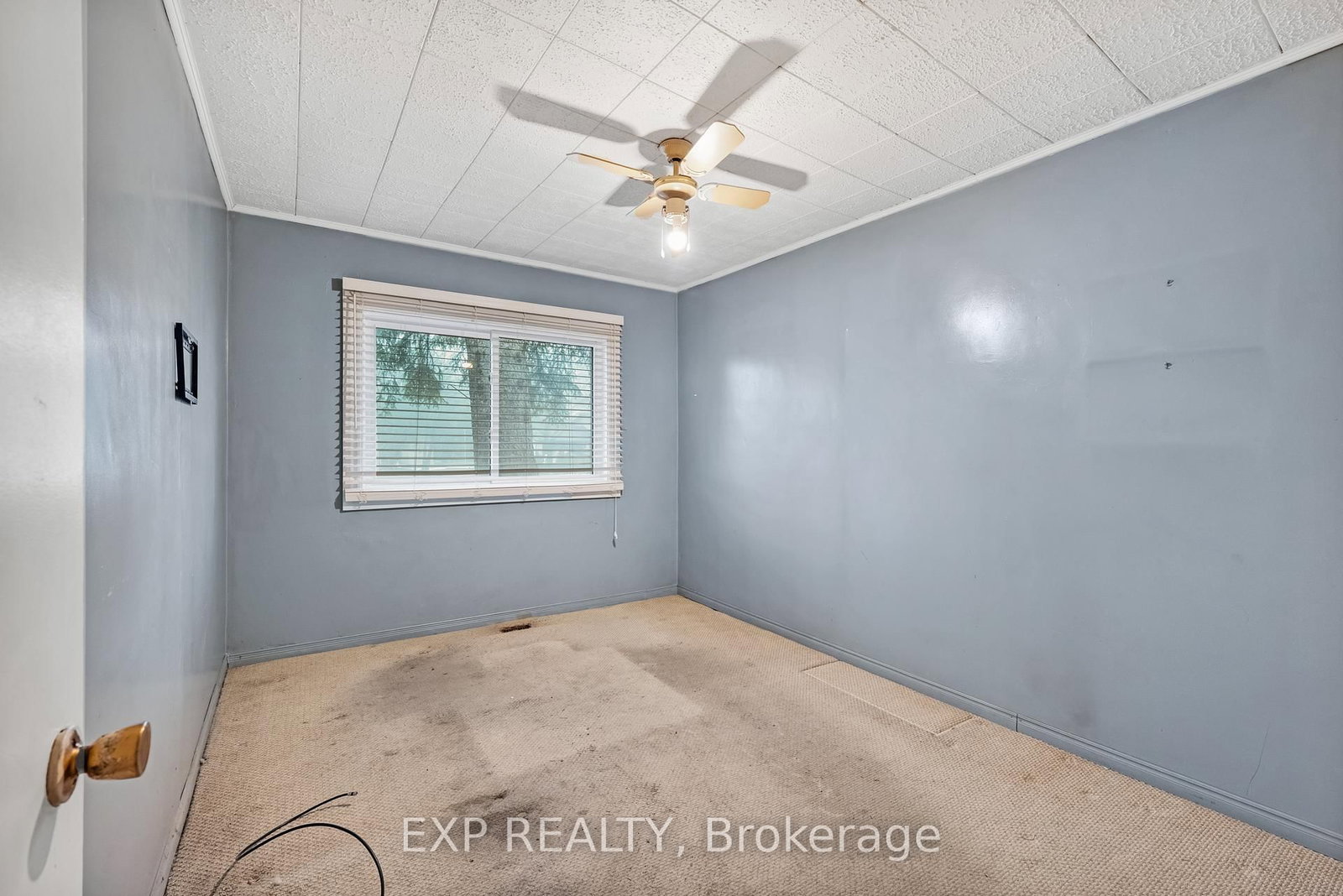 6160 King Road • King, ON photo 23