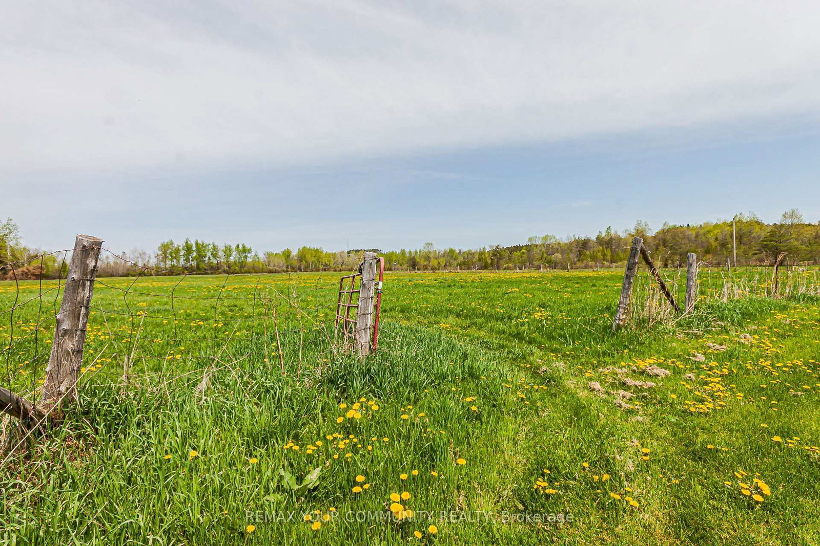 24730 Valley View Drive • Georgina, ON photo 22