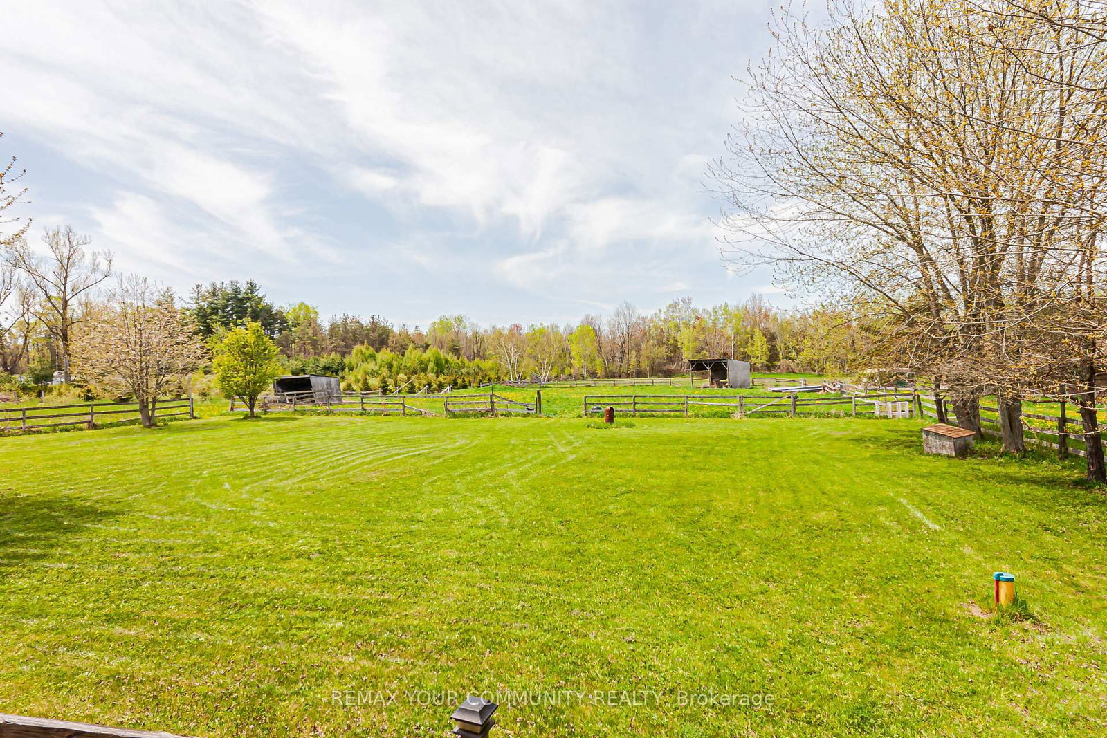 24730 Valley View Drive • Georgina, ON photo 24