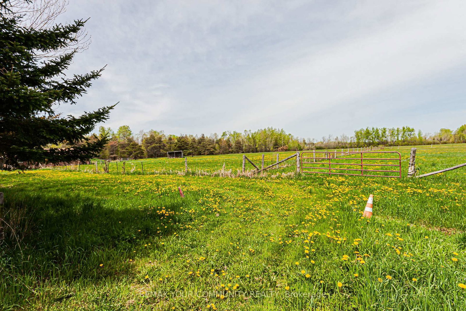 24730 Valley View Drive • Georgina, ON photo 25