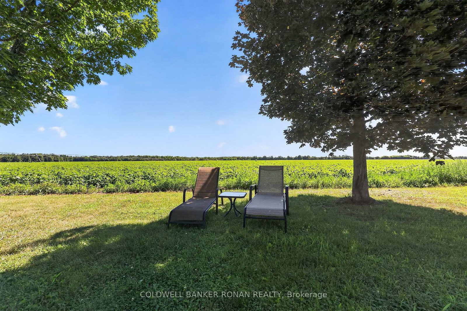 128 Denney Drive • Essa, ON photo 46