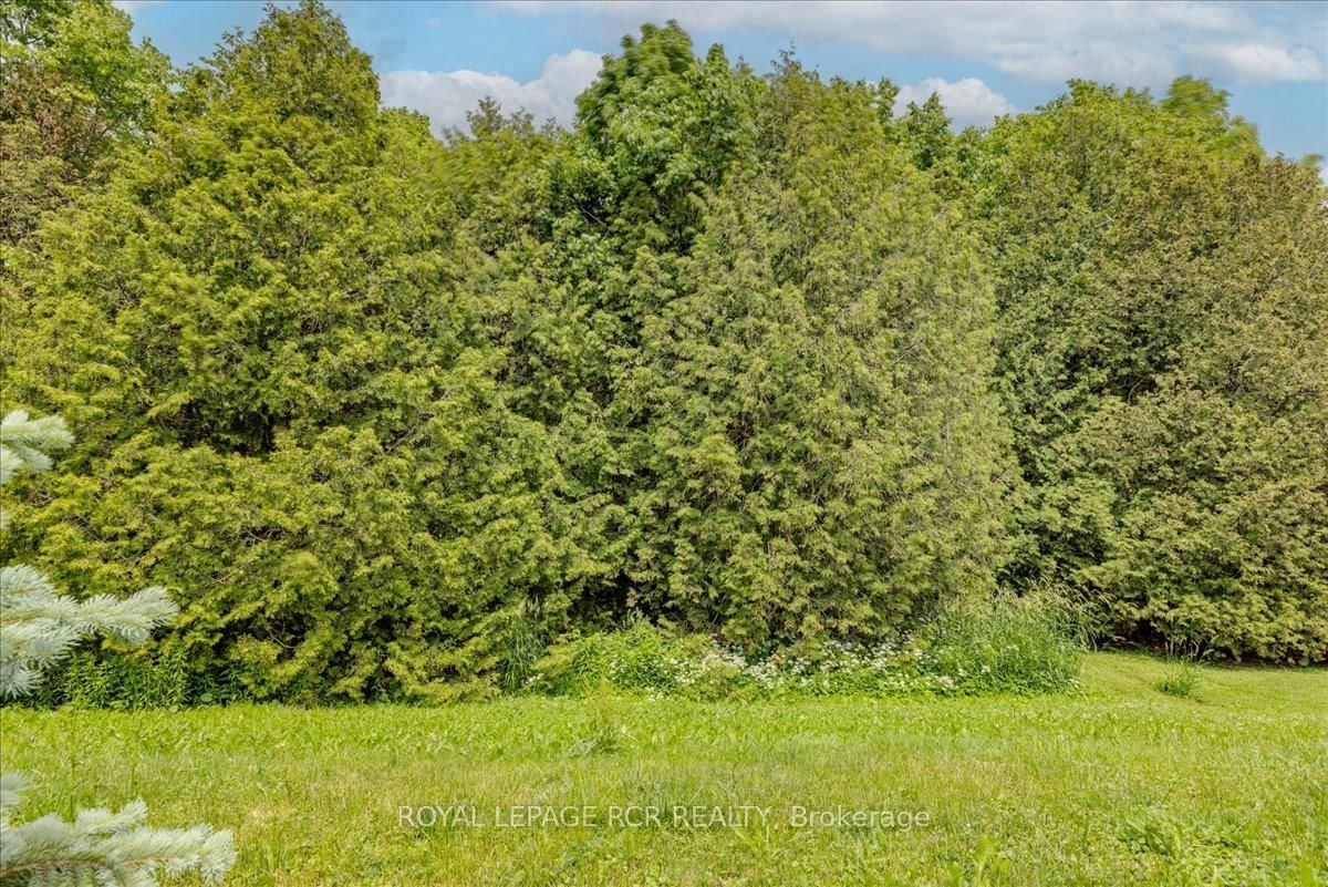 332 King Street • East Gwillimbury, ON photo 26