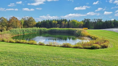 1065 20th Side Road • King, ON photo 9