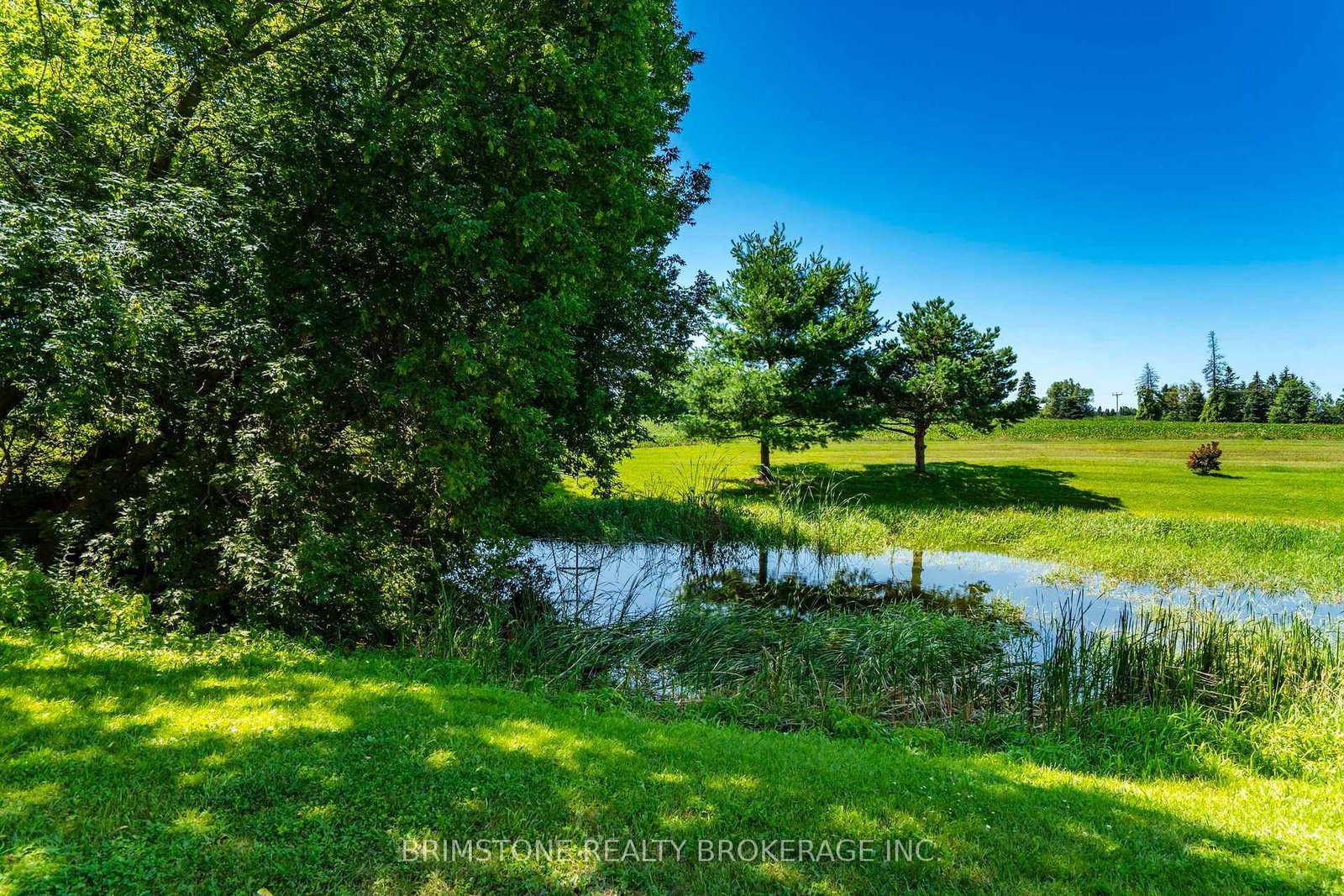 8231 56 County Road • Essa, ON photo 38
