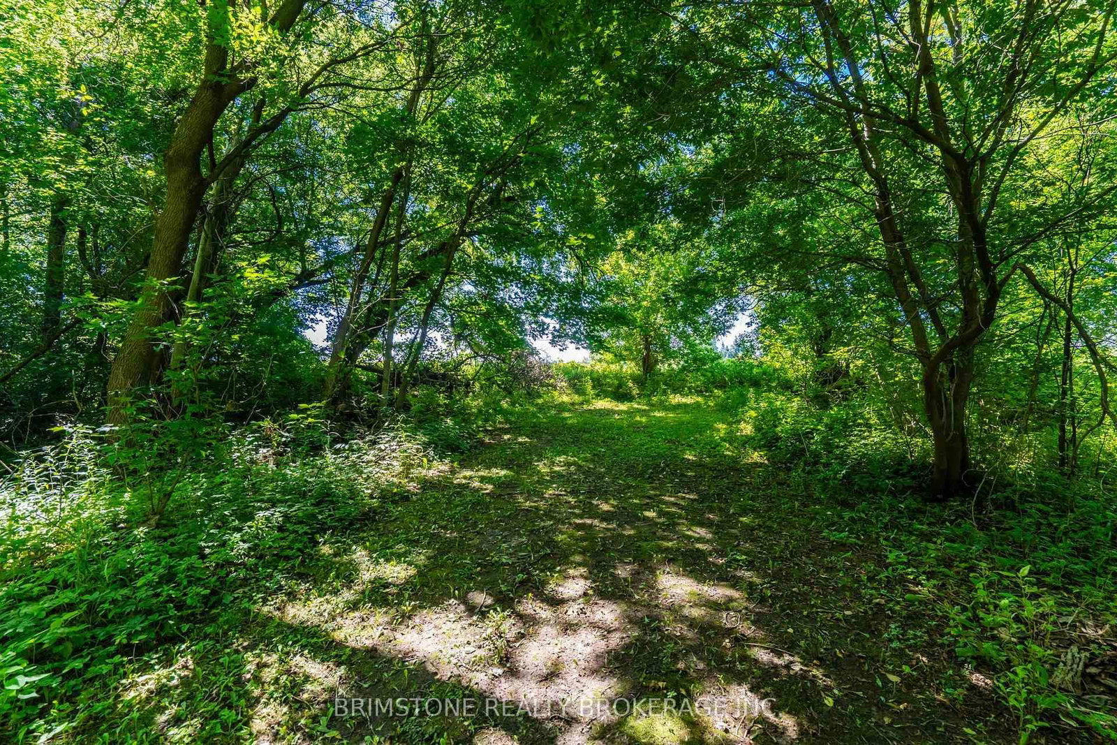 Listing Image 45