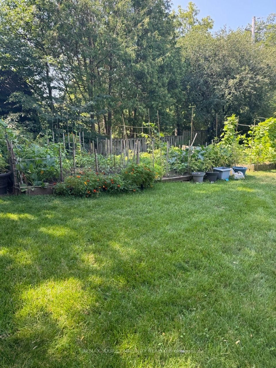 111 Grew Boulevard • #104 • Georgina, ON photo 6