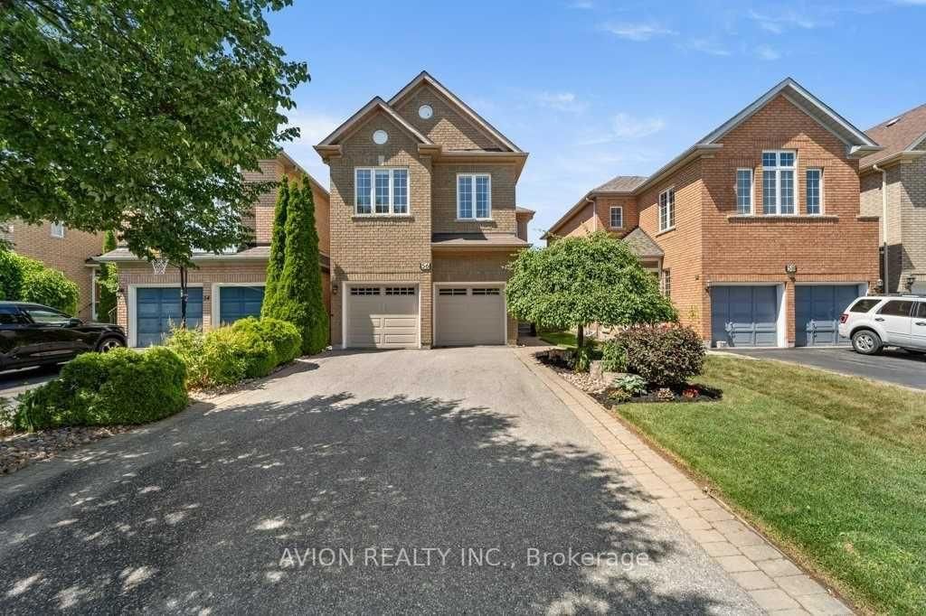 bsmt - 56 Golden Oak Avenue, Richmond Hill