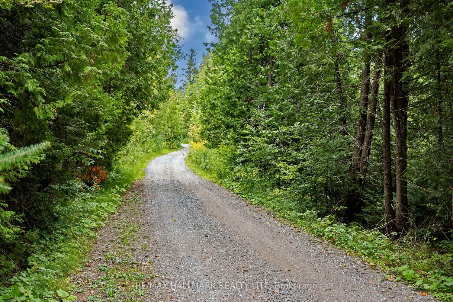 Listing Image 45