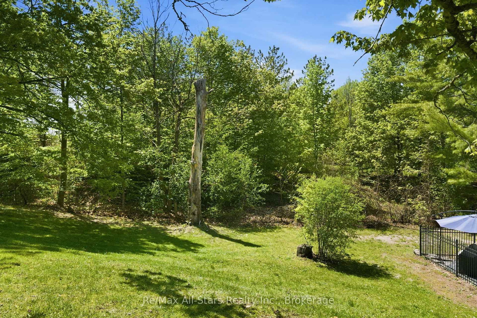 24 The Pines Lane • Brock, ON photo 43