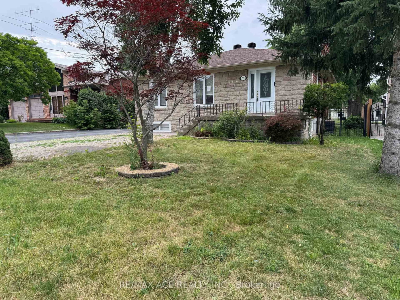 39 Oak Avenue • Richmond Hill, ON photo 4