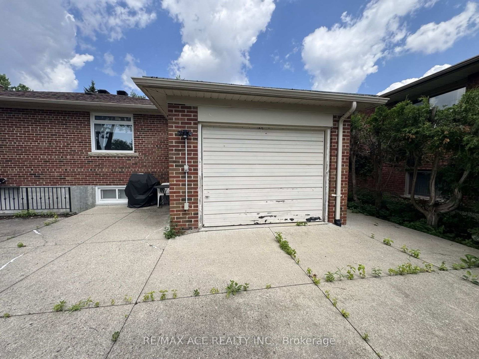 39 Oak Avenue • Richmond Hill, ON photo 6