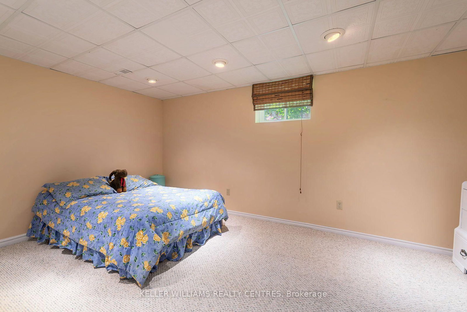 376 Keith Avenue • Newmarket, ON photo 36