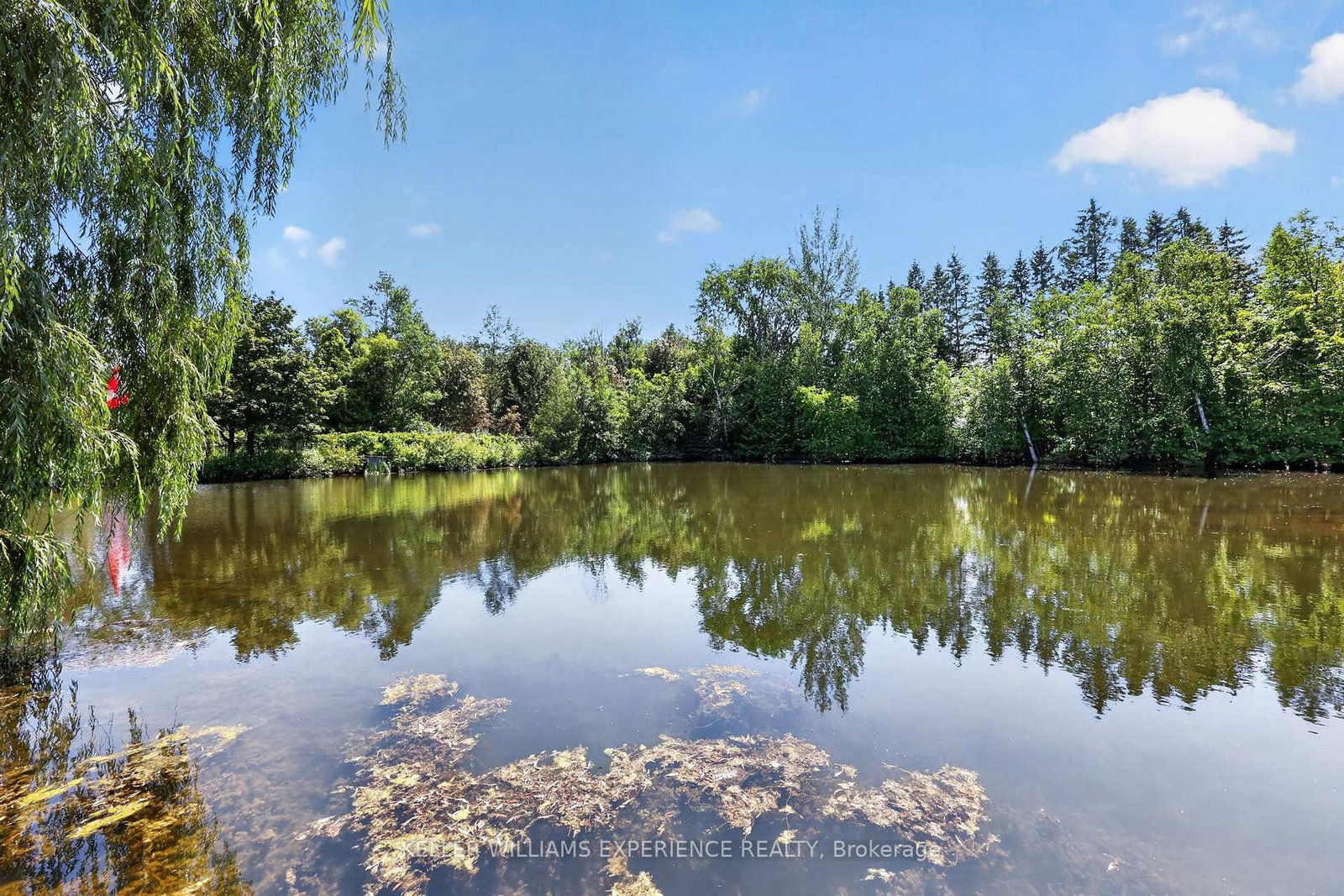 2235 Adullam Avenue • Innisfil, ON photo 37