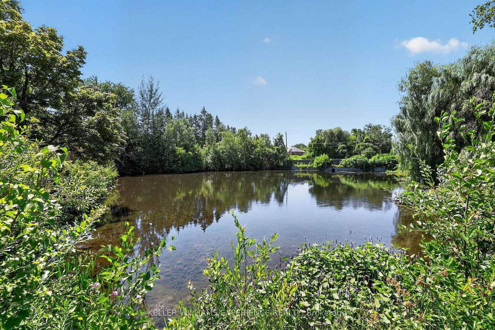 2235 Adullam Avenue • Innisfil, ON photo 41