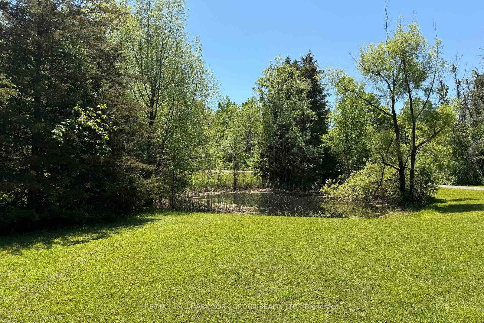 5768 Smith Boulevard • Georgina, ON photo 19