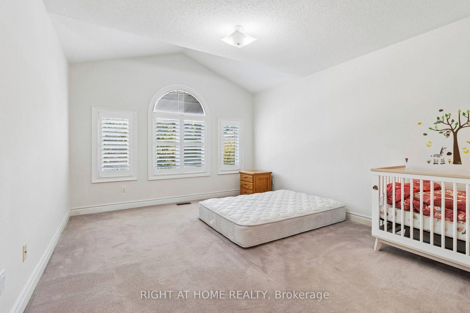35 Palace Court • Richmond Hill, ON photo 20