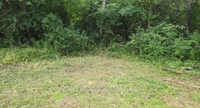 0 Fergus Avenue • Richmond Hill, ON photo 12