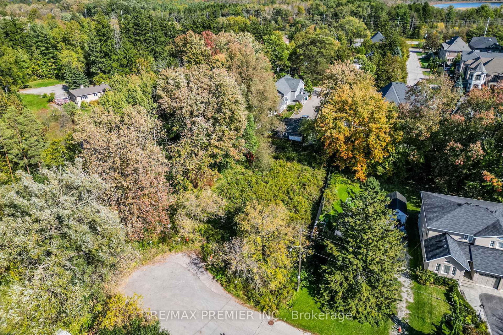0 Fergus Avenue • Richmond Hill, ON photo 17