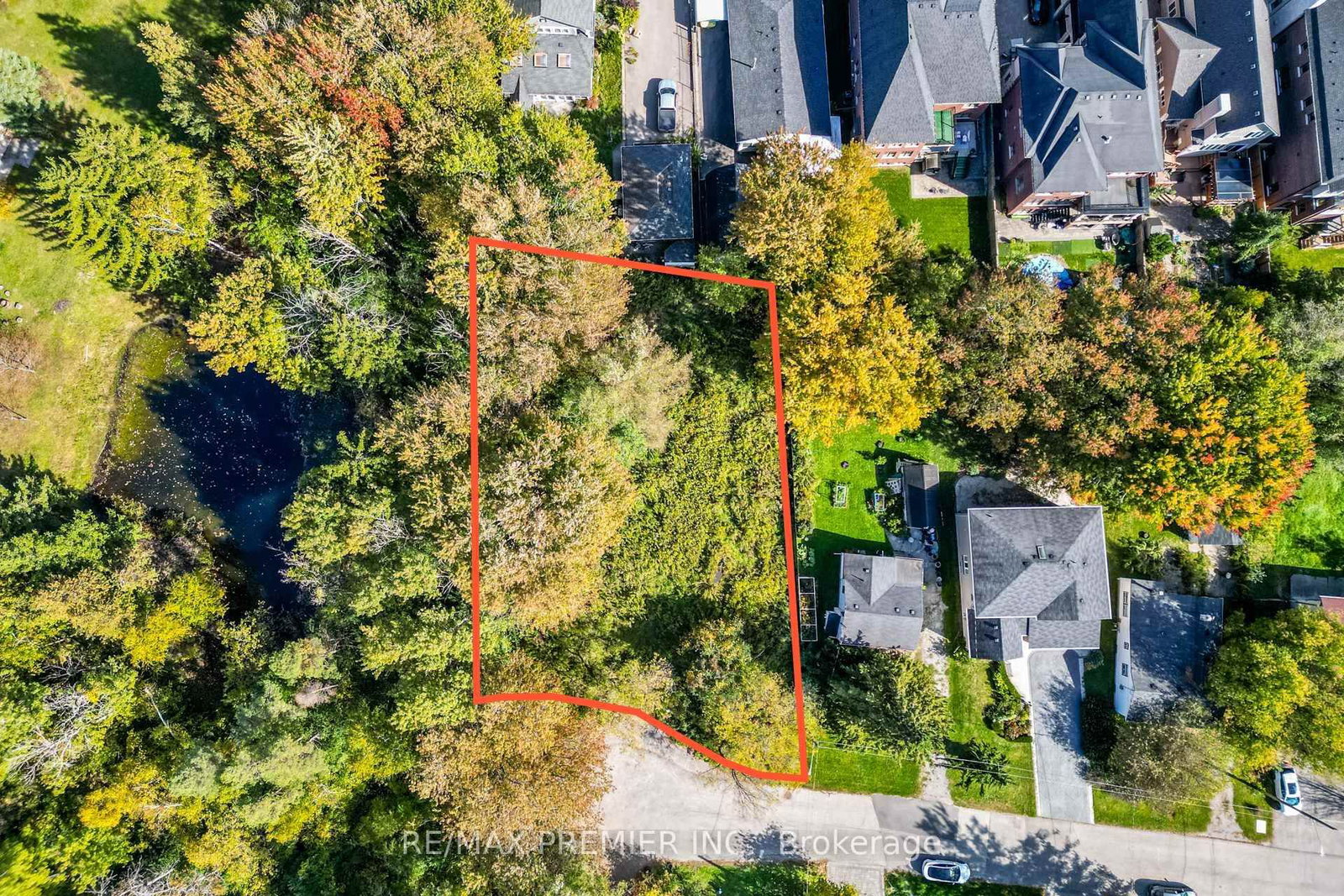 0 Fergus Avenue • Richmond Hill, ON photo 22
