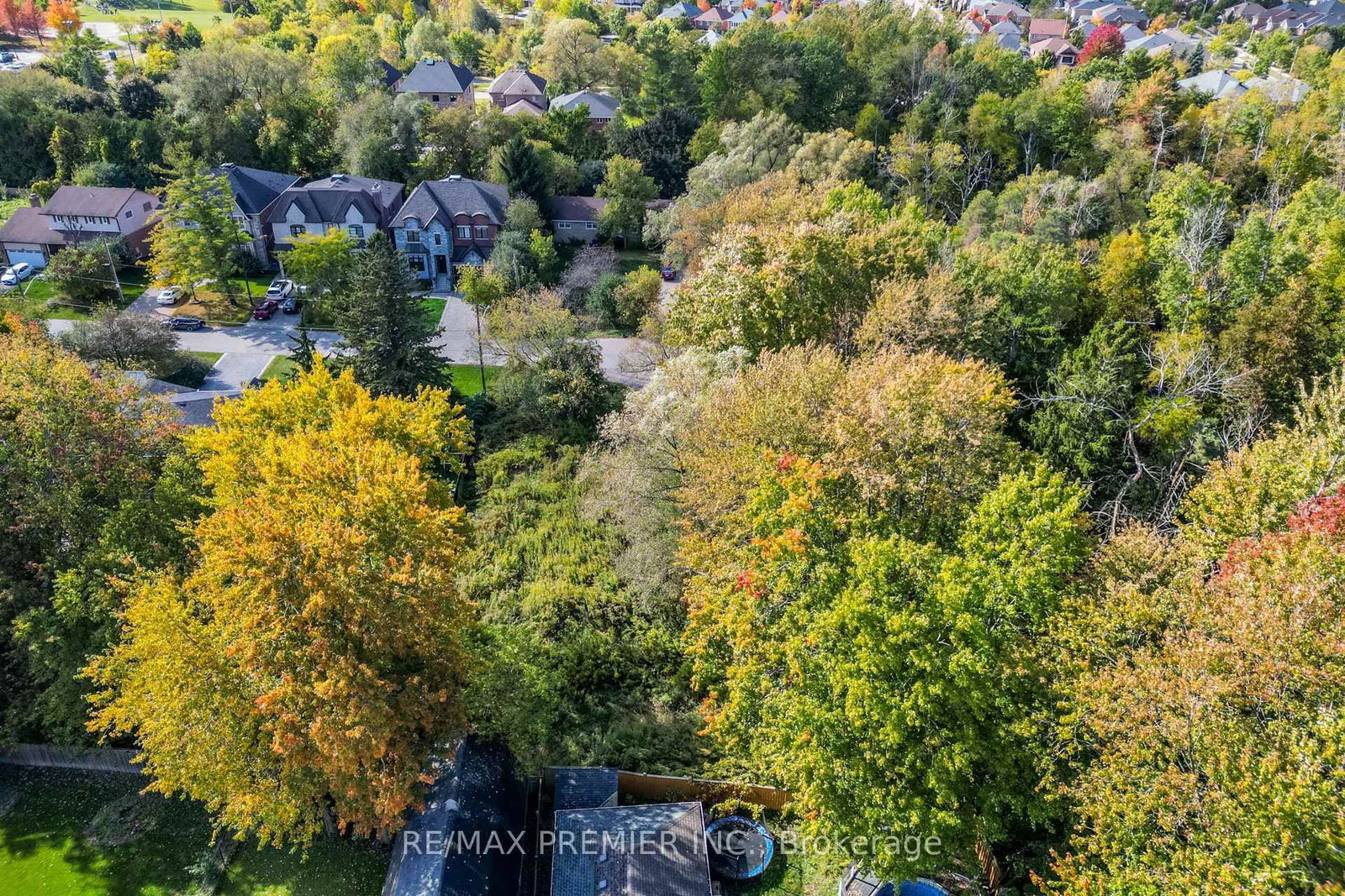 0 Fergus Avenue • Richmond Hill, ON photo 23