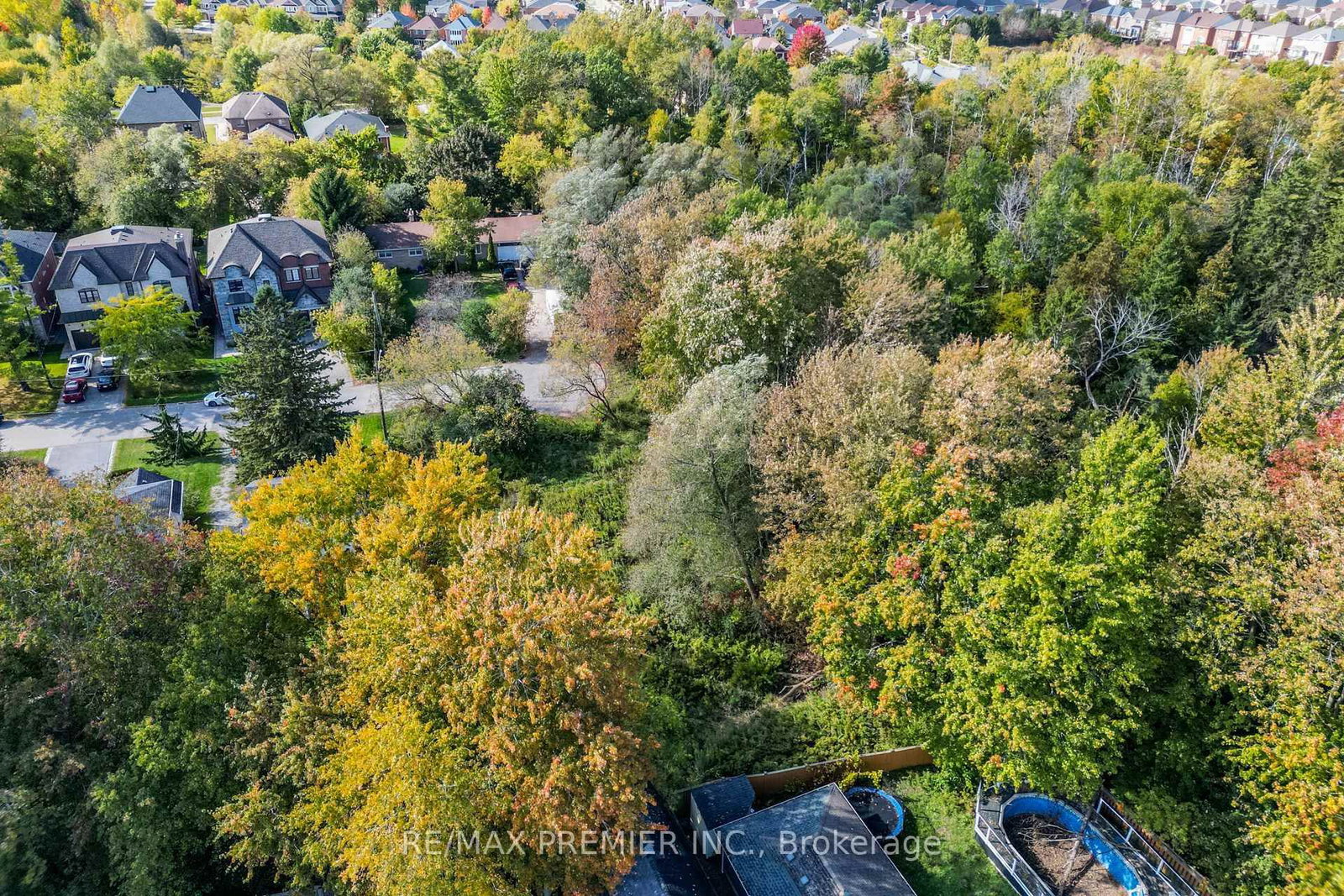 0 Fergus Avenue • Richmond Hill, ON photo 24